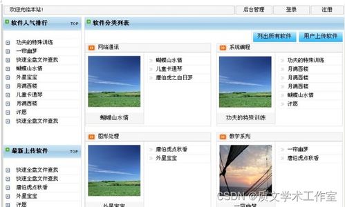 ASP.NET 軟件貿易網站的設計與實現